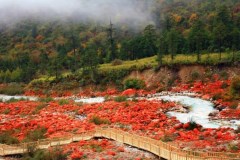 【川西環線】海螺溝、丹巴四姑娘山米亞羅